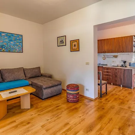 Apartment Lovely In With Kitchen