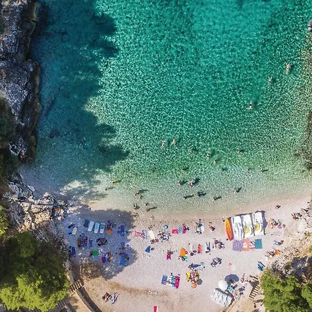 Amazing In With Swimming Pool بولا